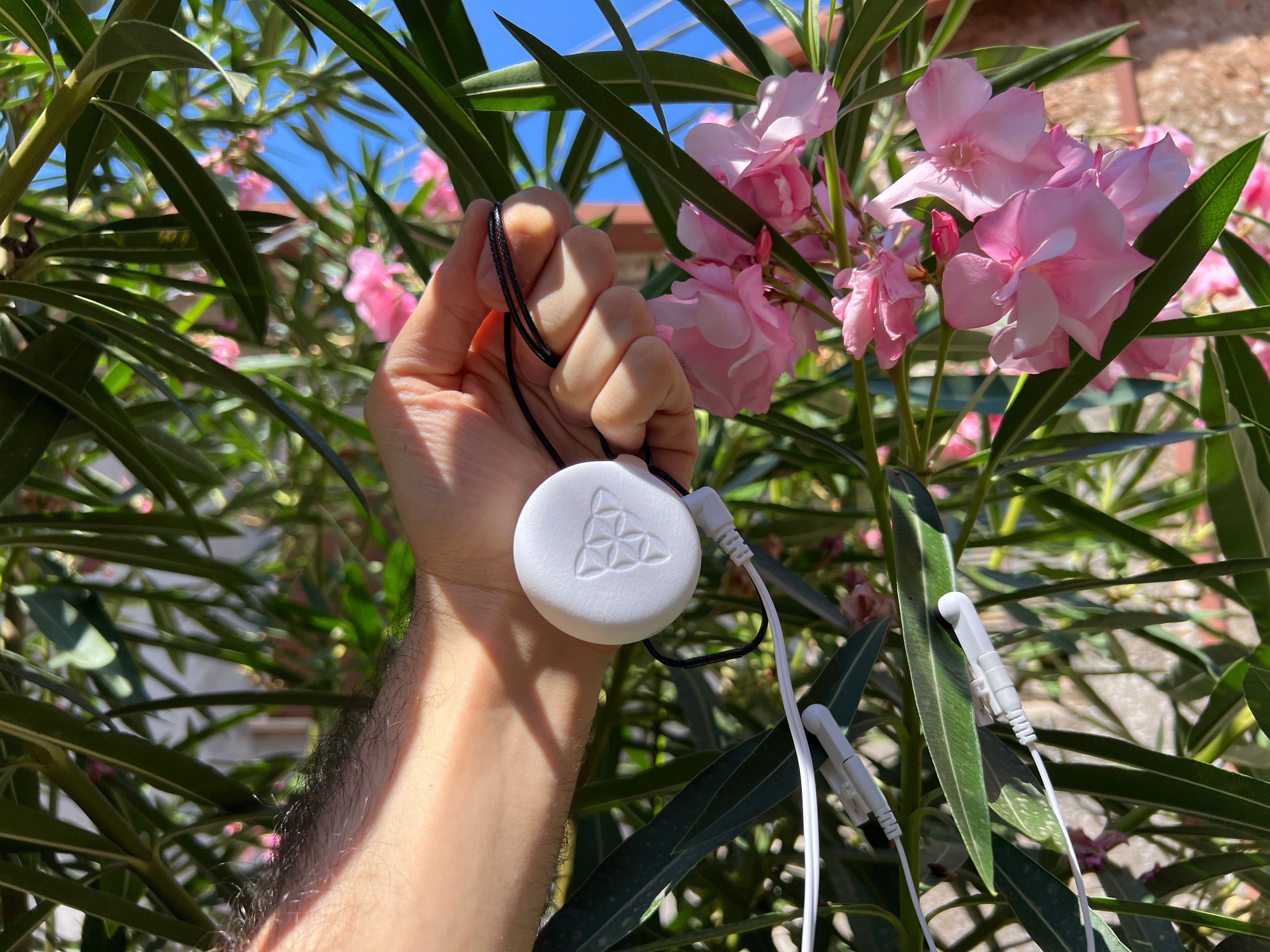 PlantsPlay 2 - Plant Music Device