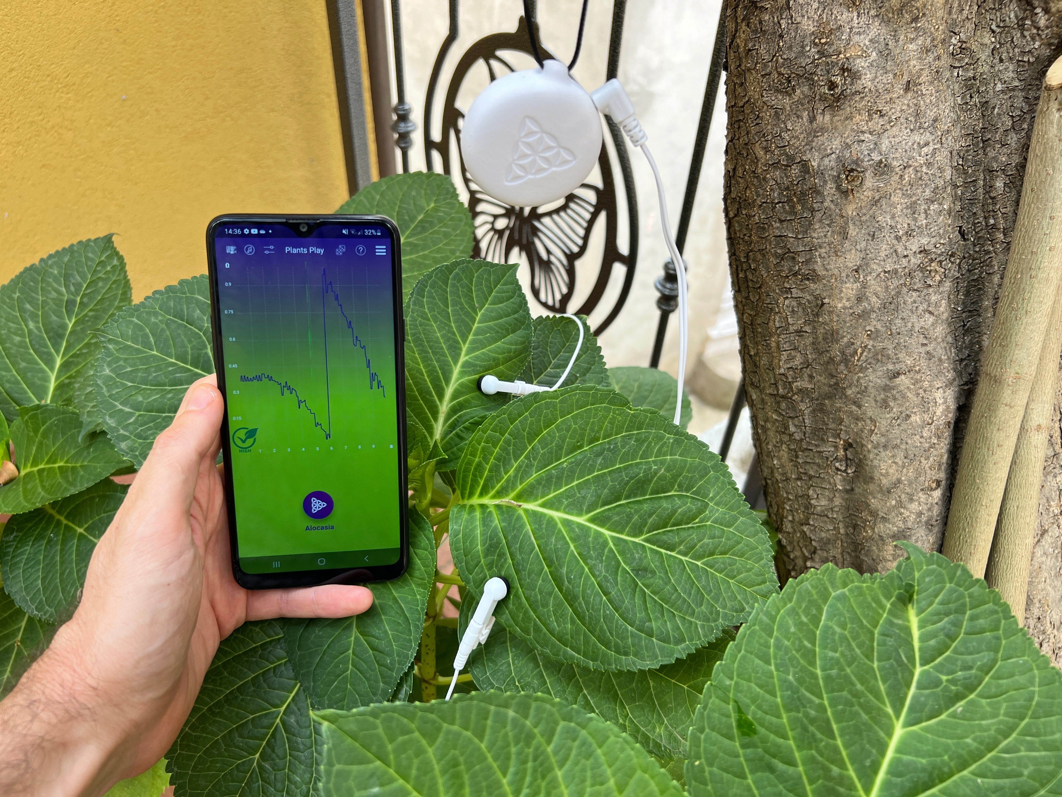 PlantsPlay 2 - Plant Music Device