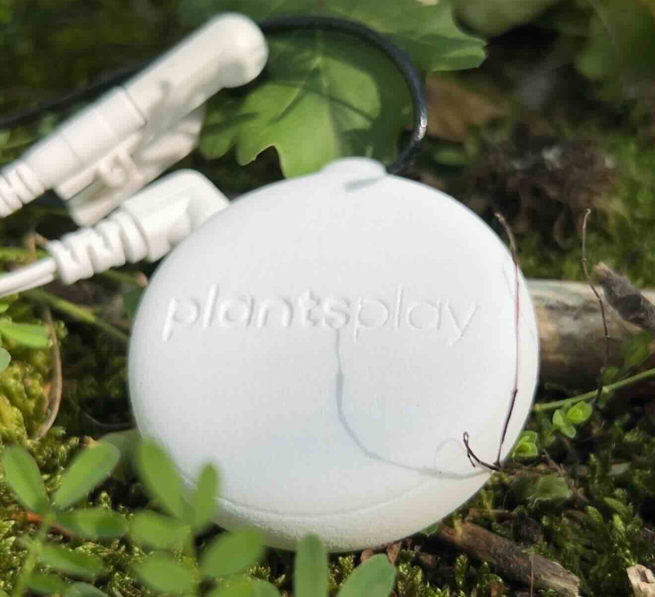 PlantsPlay 2 - Plant Music Device